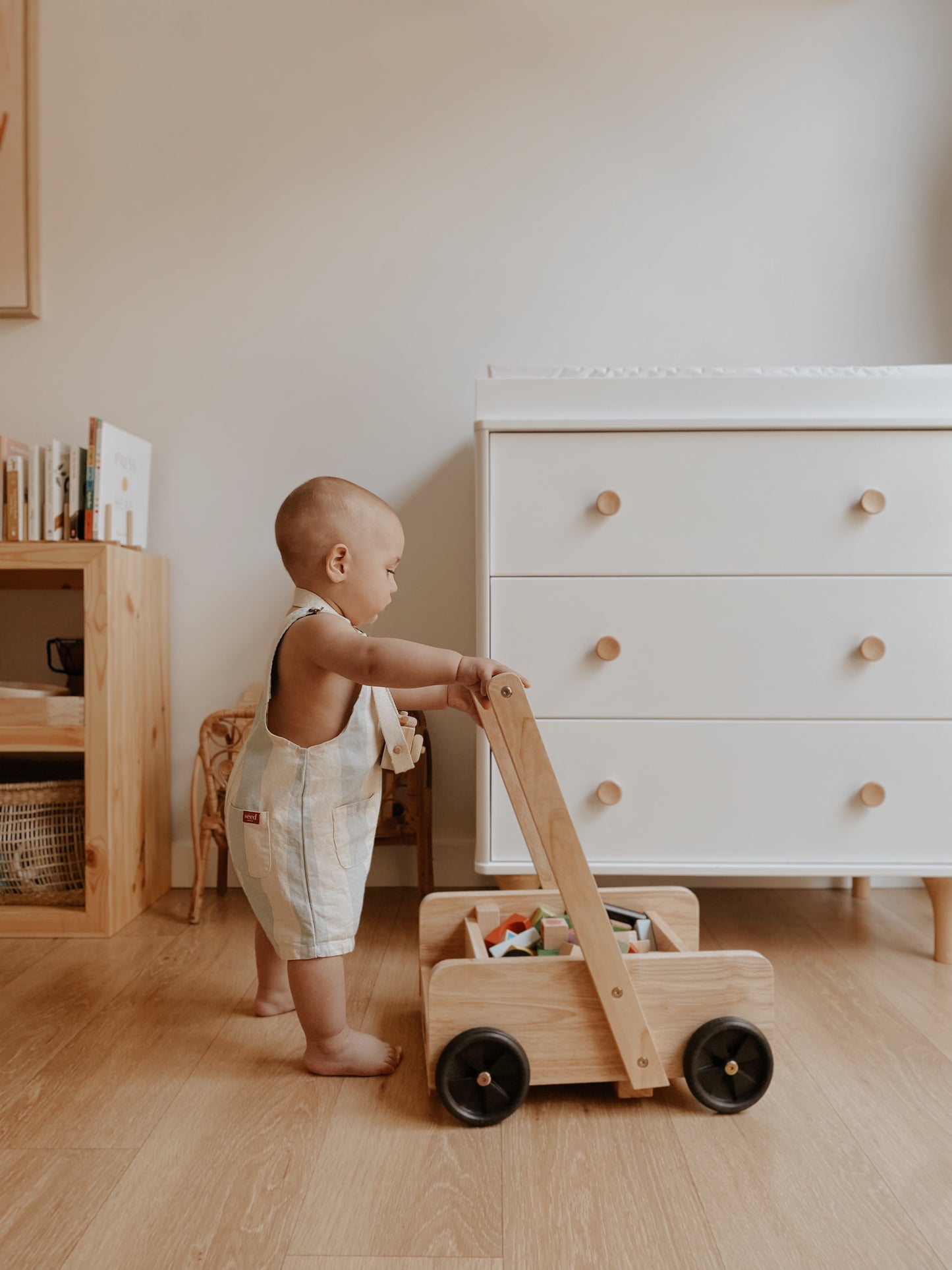 Classic Baby Walker