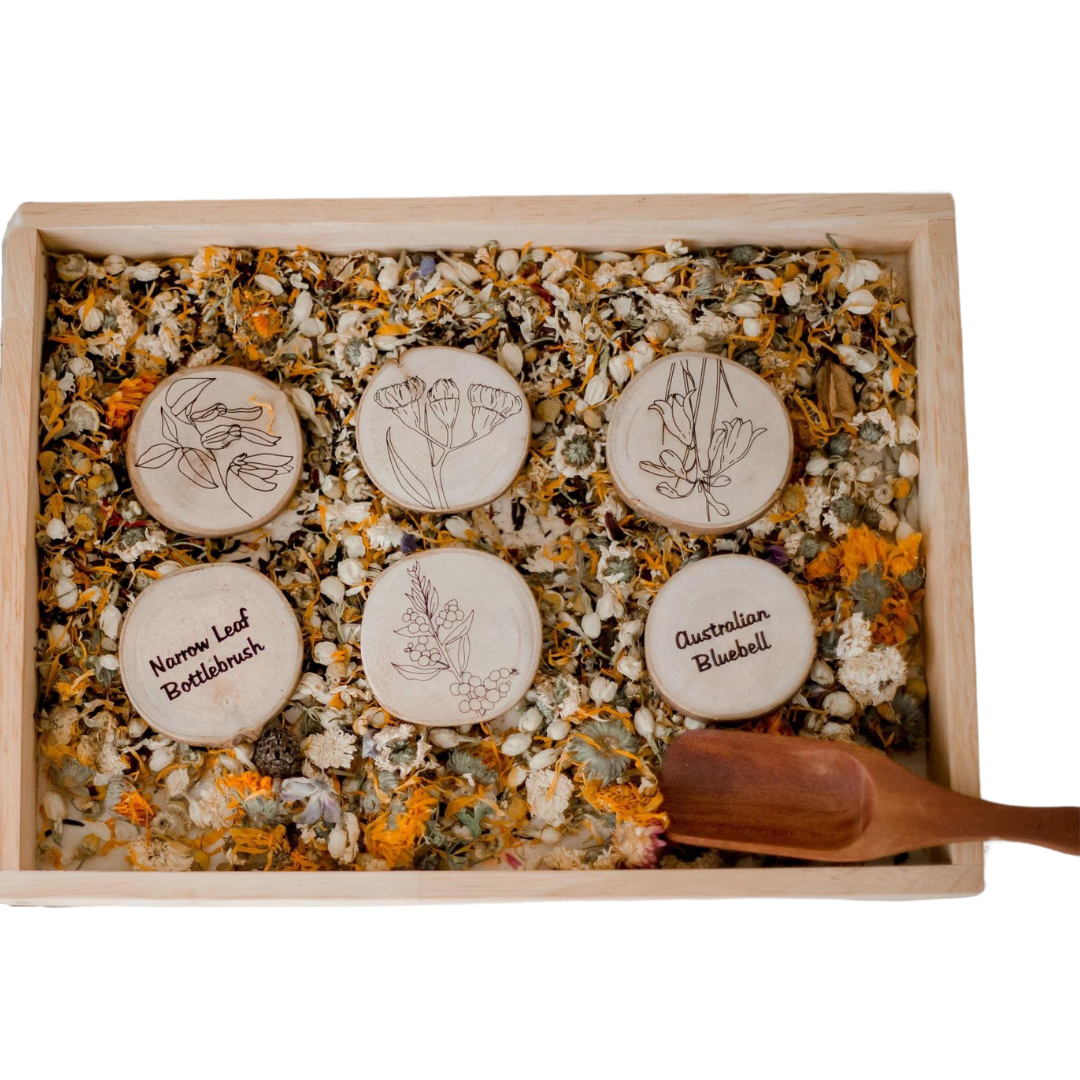 Australian Flora Set of 10