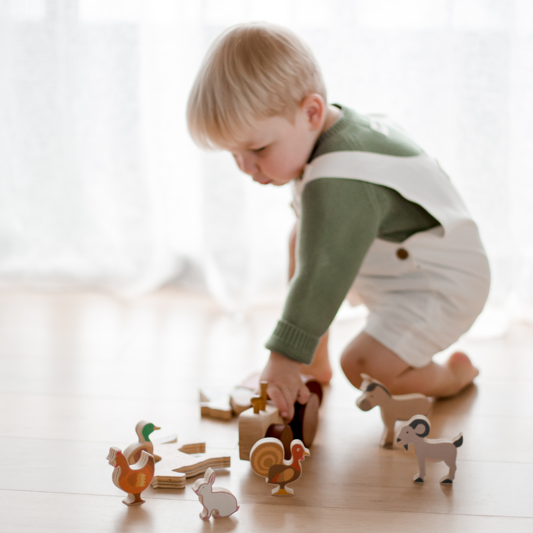 Farm Animals & Tractor Set