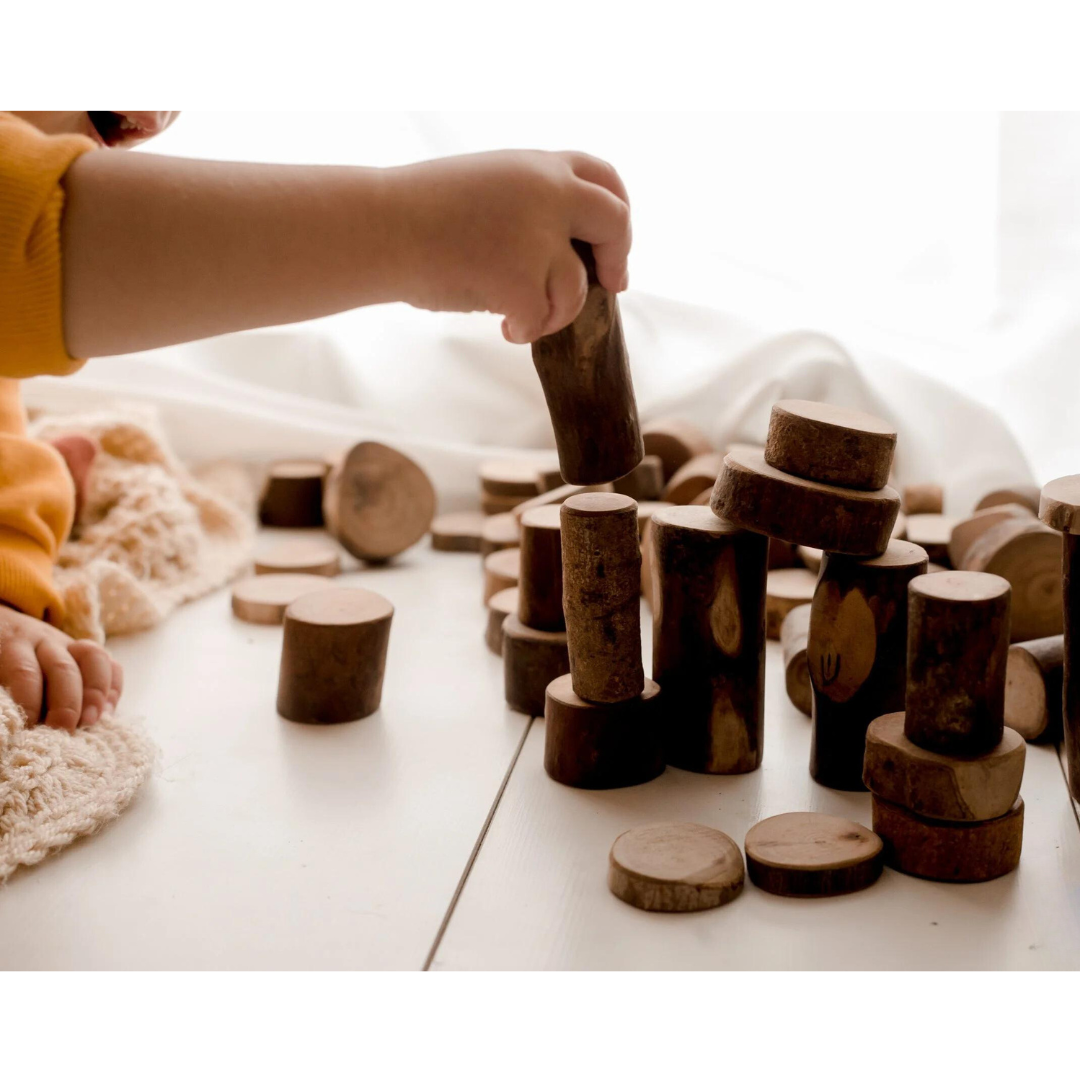 Tree Counting Set 70 pcs