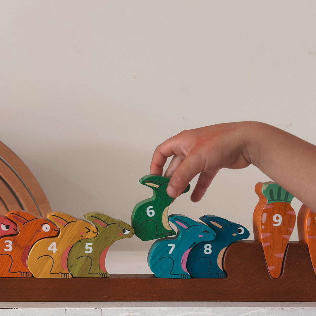 Counting Rabbit