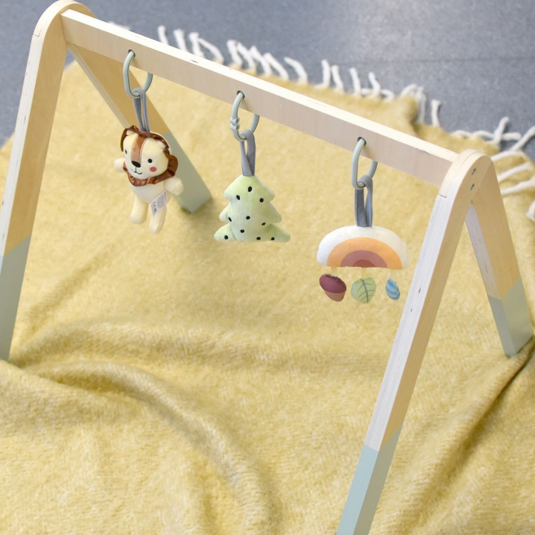 Lion Baby Gym
