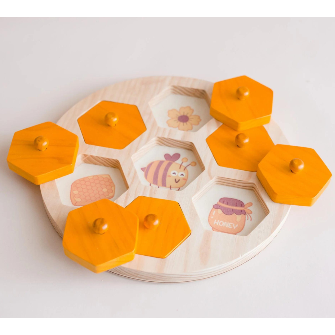 Bee Life Cycle Hive