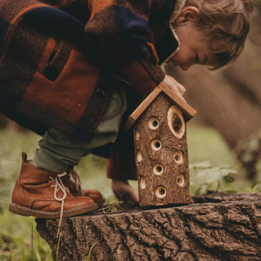 Ladybug House