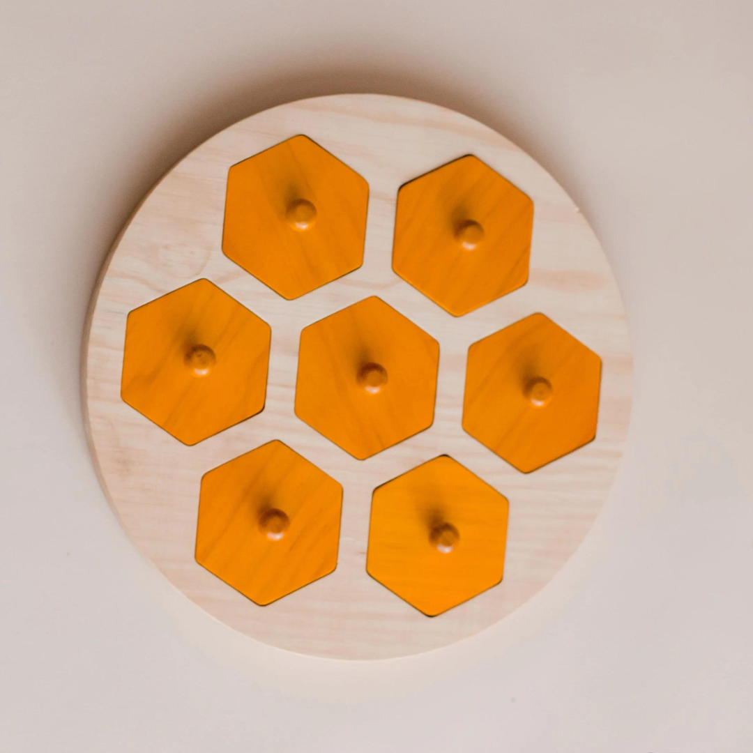 Bee Life Cycle Hive