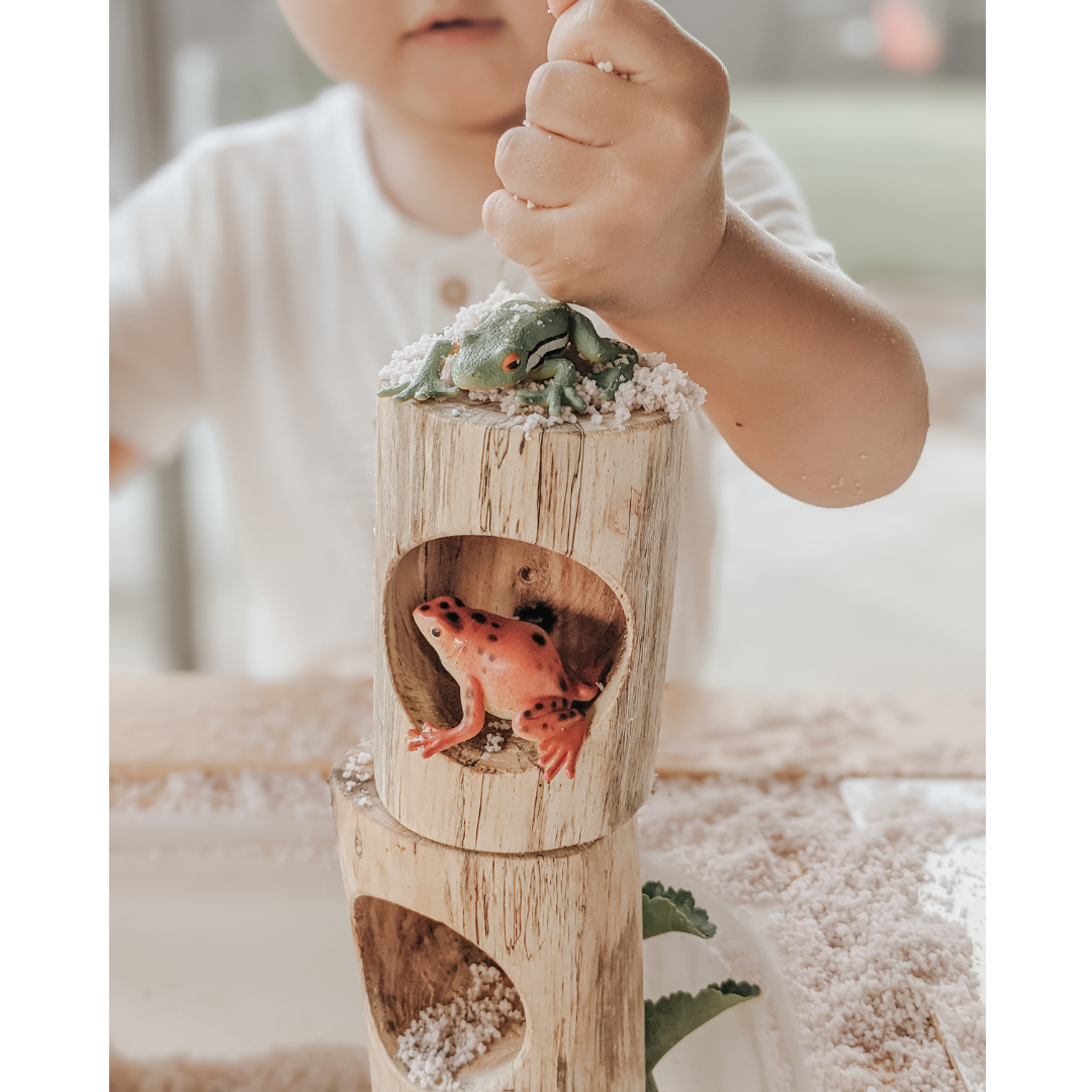 Log Counting and Sorting Trays