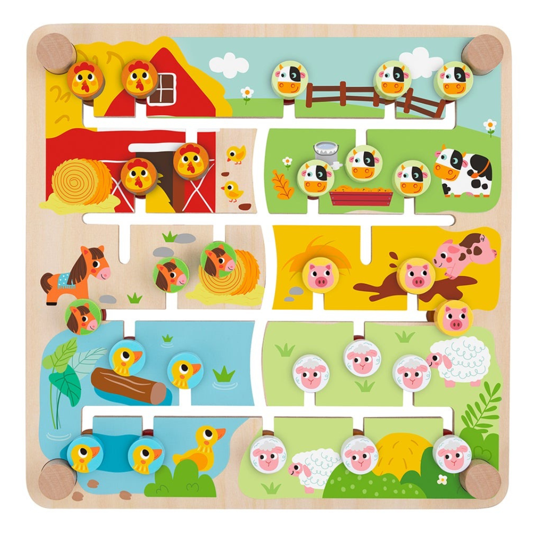 Alphabet & Farm Matching Maze Board