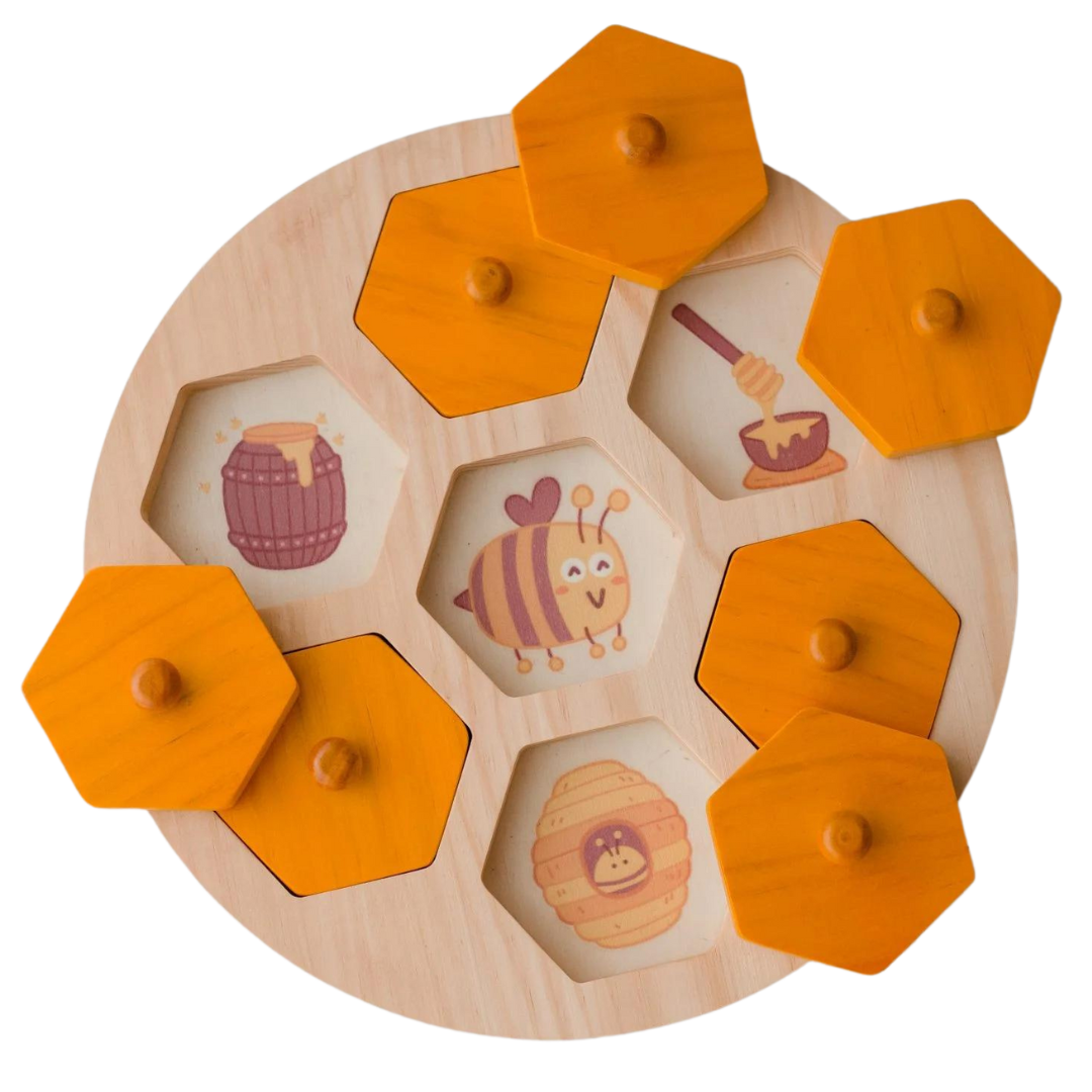 Bee Life Cycle Hive
