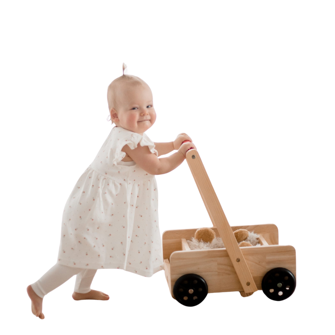 Classic Baby Walker