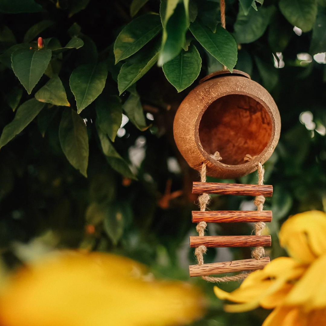 Hanging Fairy/Bird House