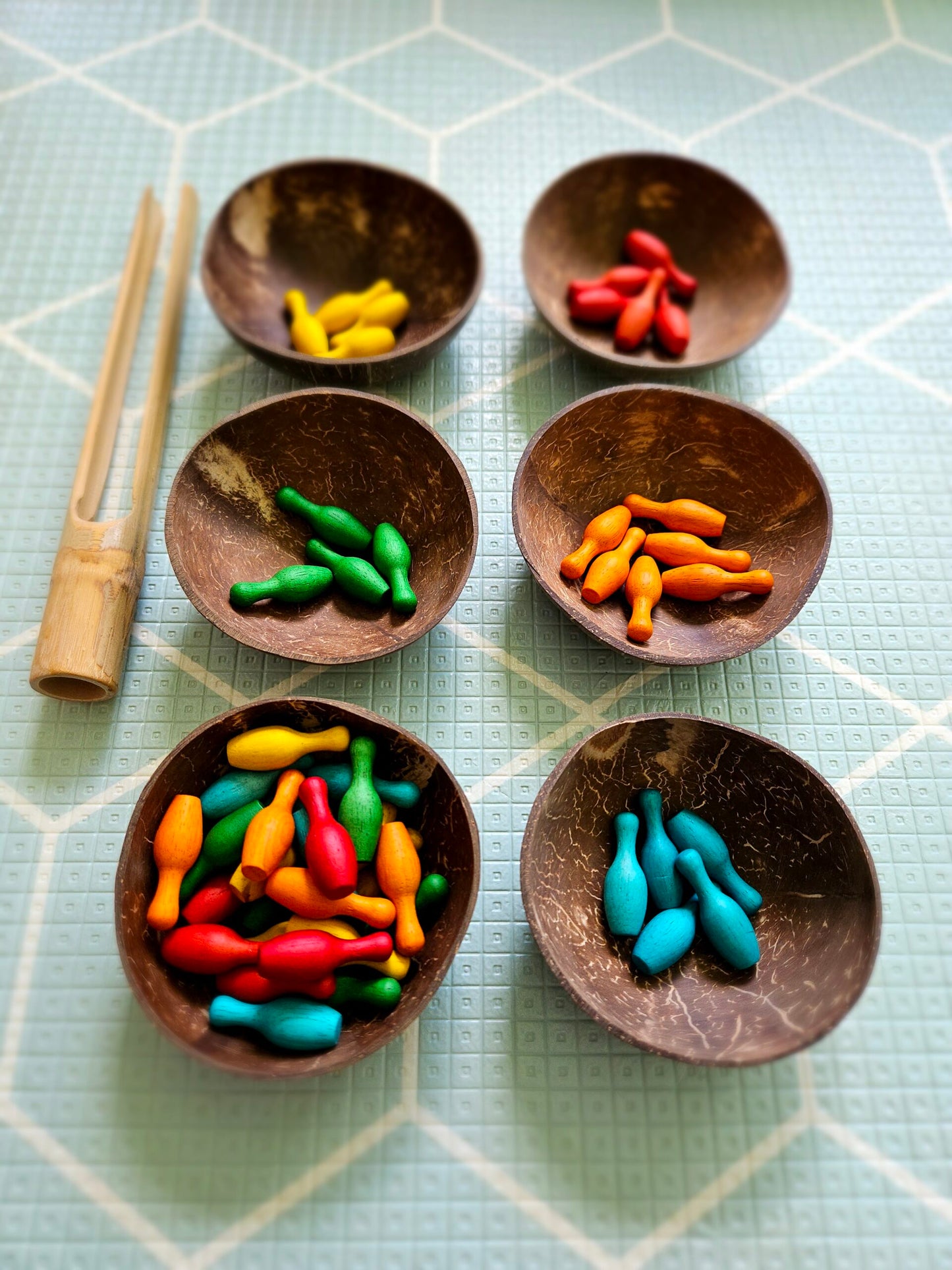 Coconut Bowls Set of 6