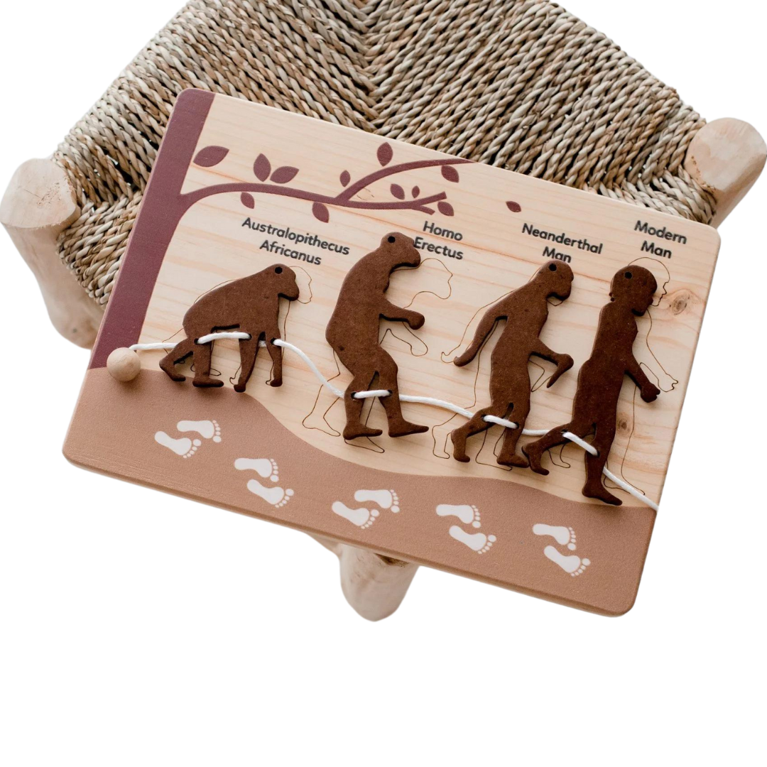 Human Evolution Puzzle & Lacing Set