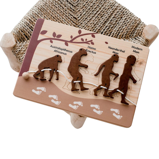 Human Evolution Puzzle & Lacing Set