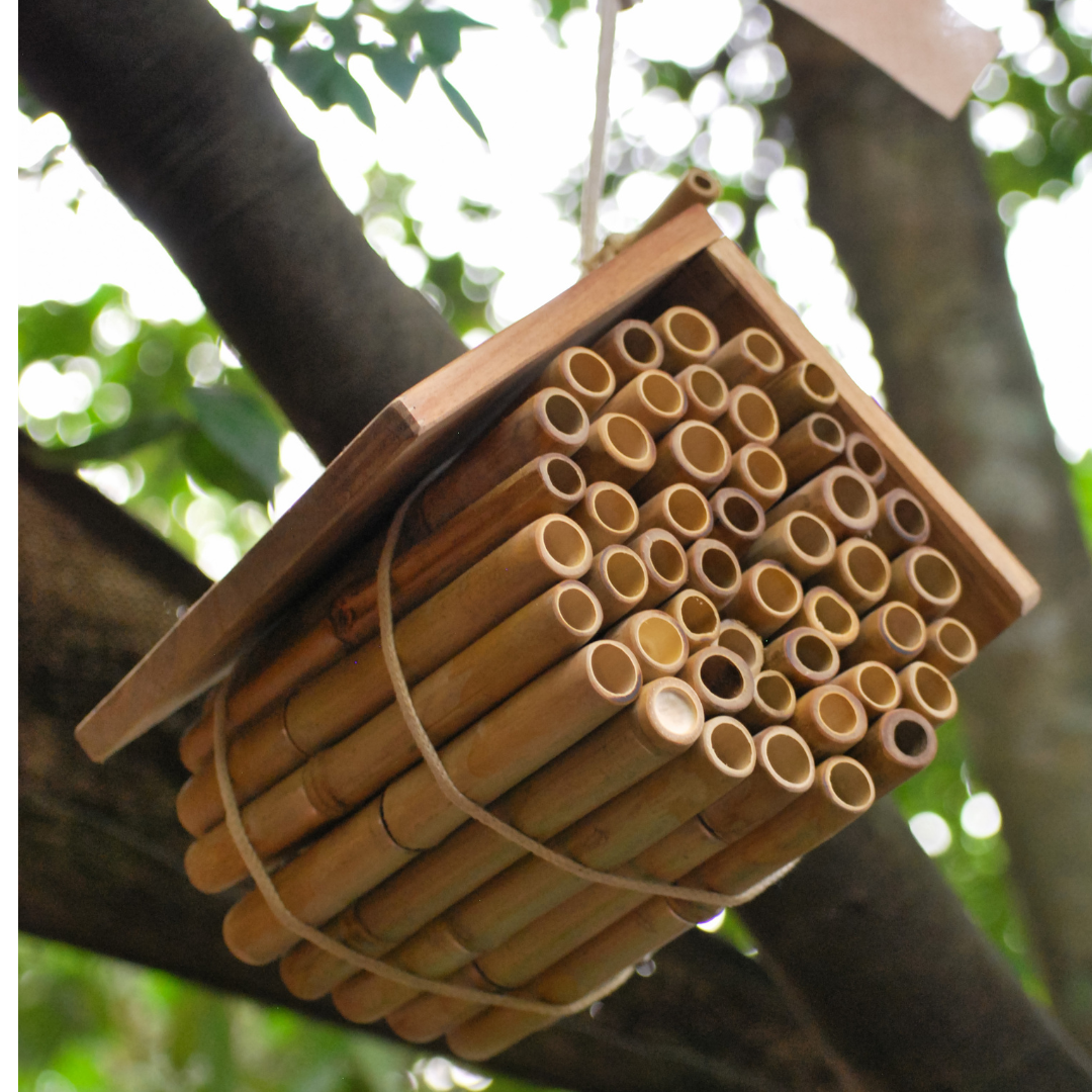 Hanging Bee House