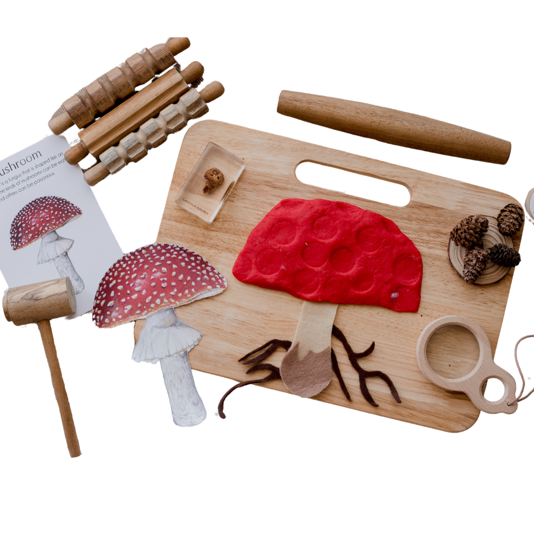 Wooden Playdough Kit