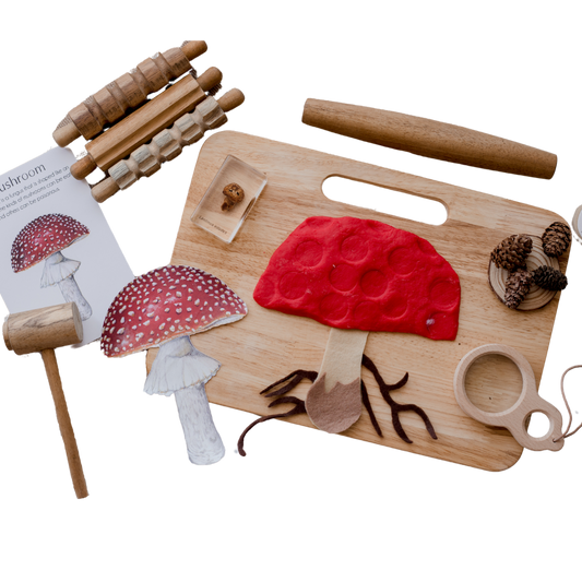 Wooden Playdough Kit