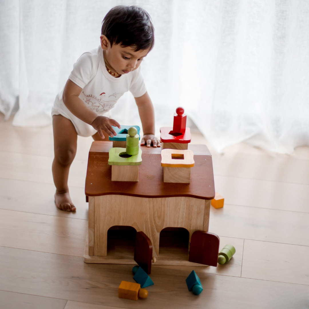 Sorting Cottage & Play House