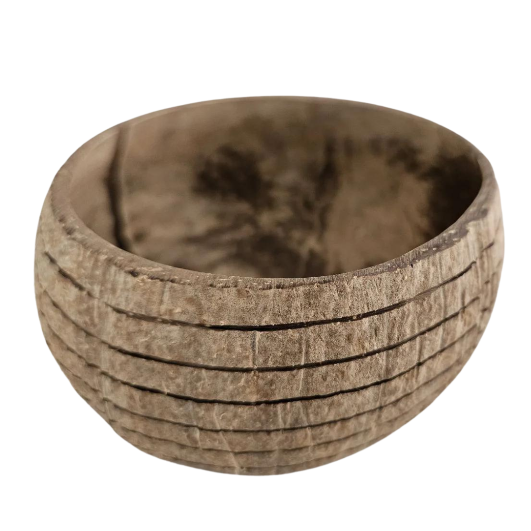 Horizon Pattern Coconut Bowl