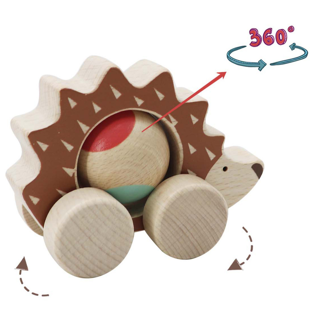 Eco Play Push A Long Spinning Hedgehog