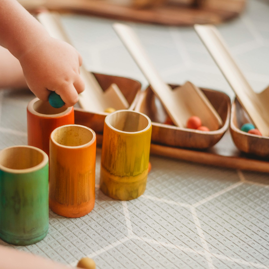 Montessori Bamboo Scoop & Sort Kit