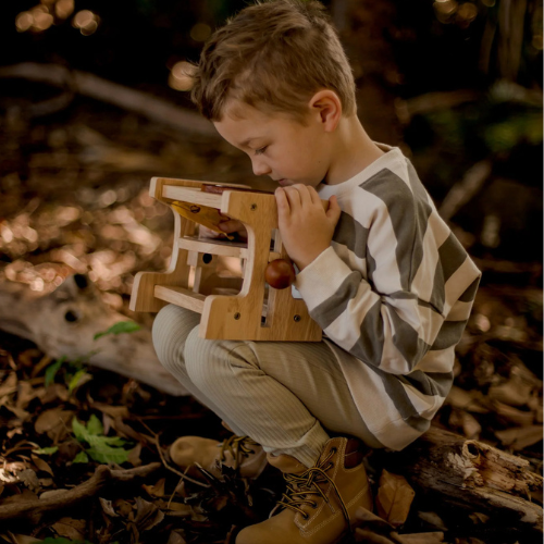 Wooden Microscope