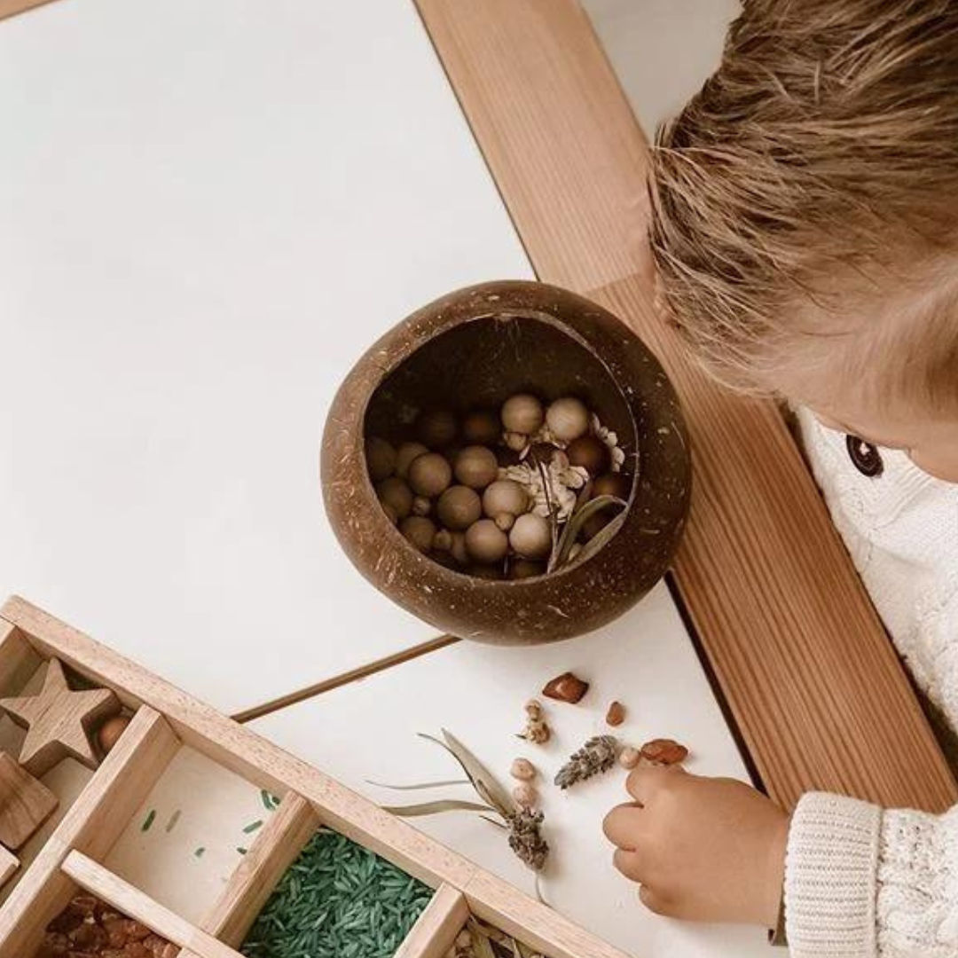 Coconut Sensory Box