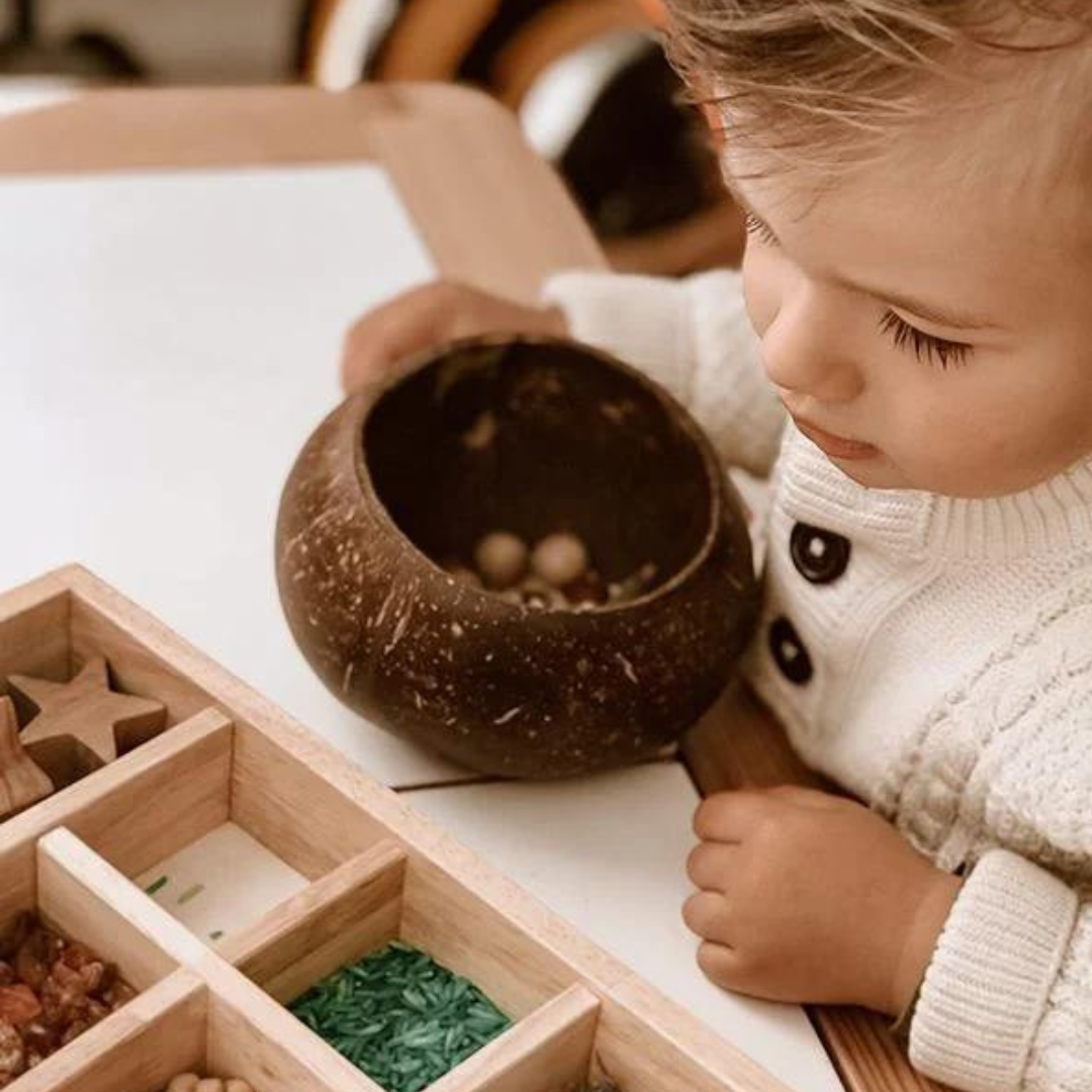 Coconut Sensory Box