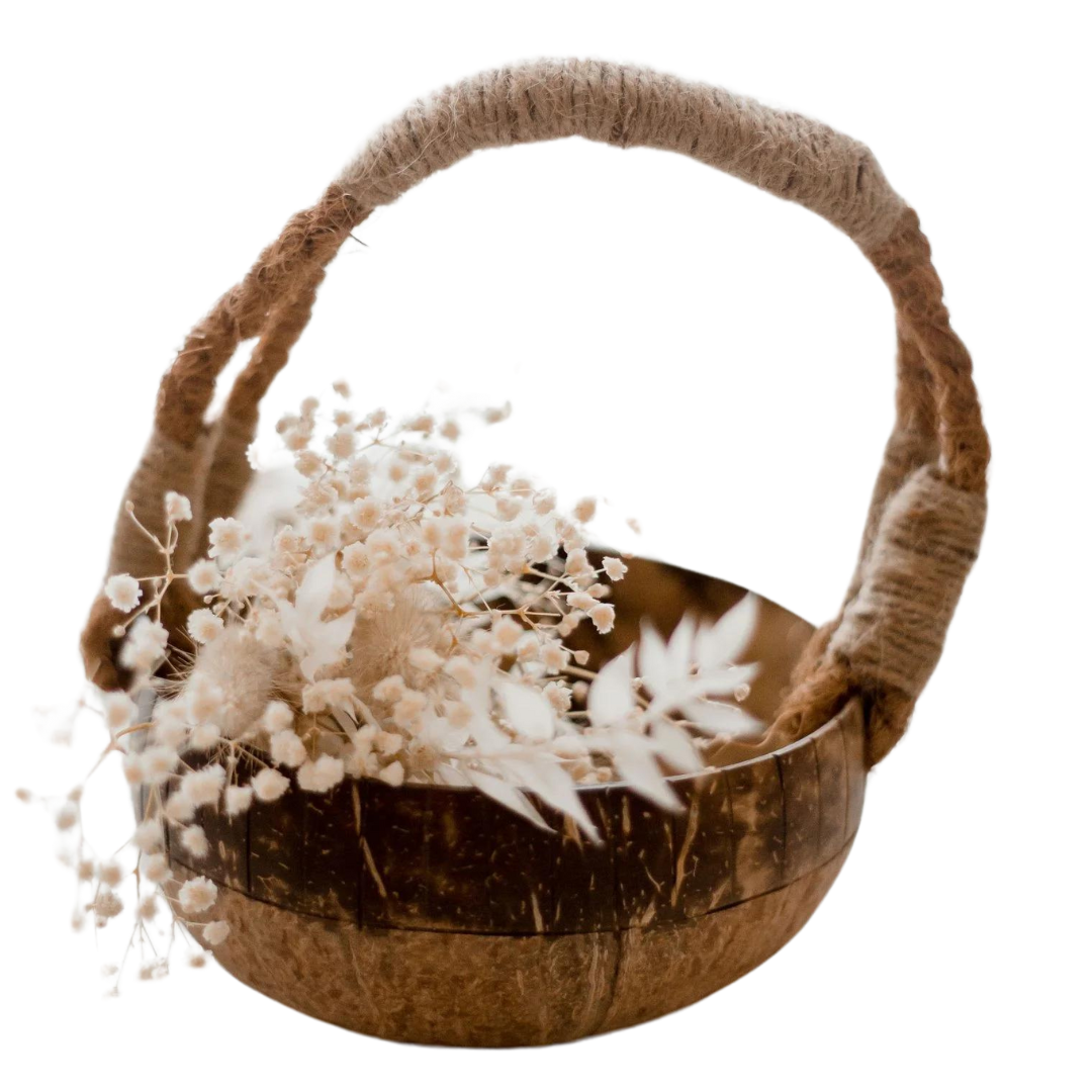 Coconut Basket