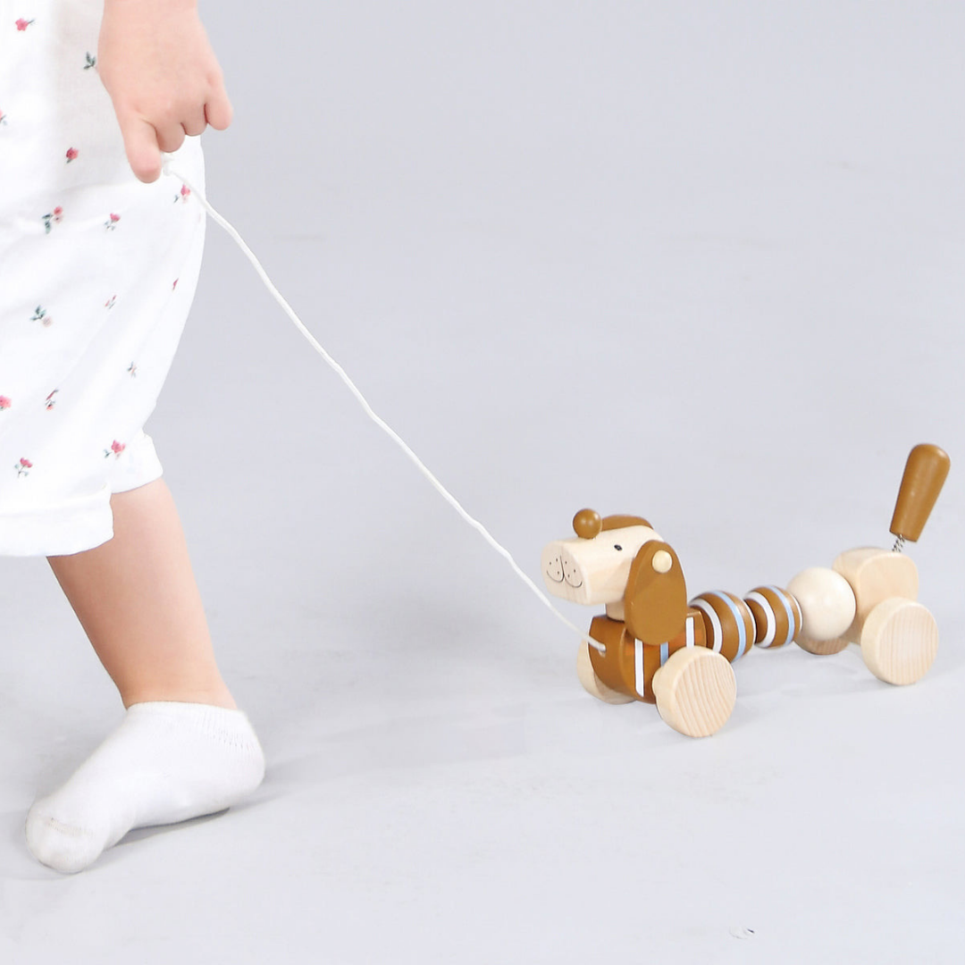 Pull Along Wooden Sausage Dog