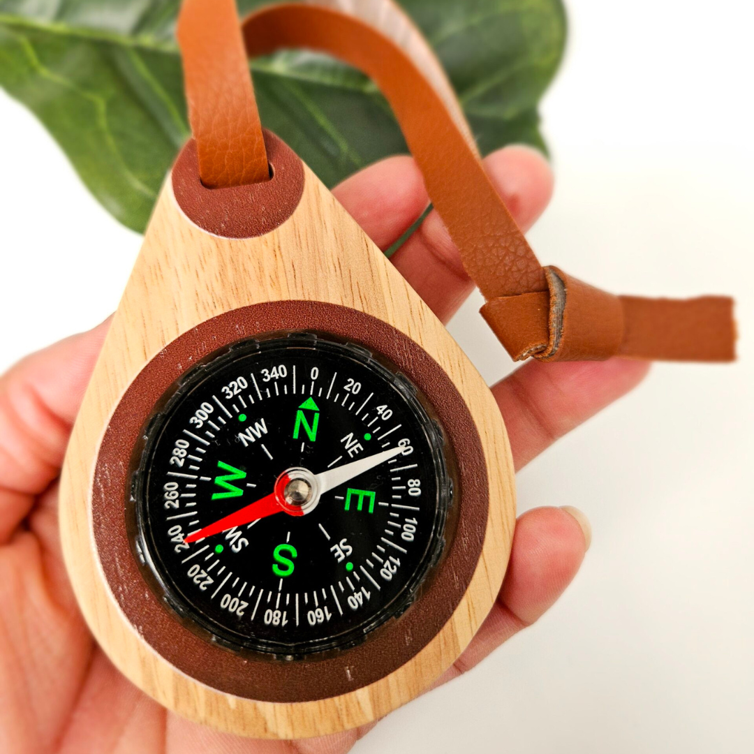 Wooden compass