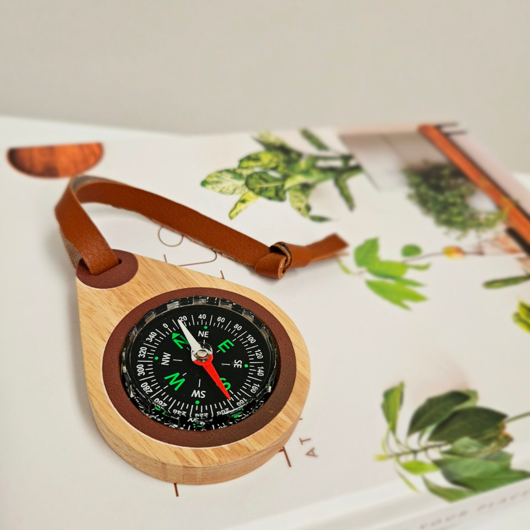 Wooden compass