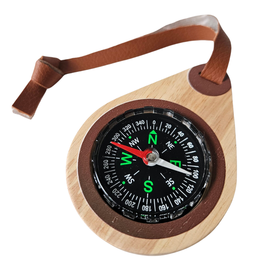 Wooden compass