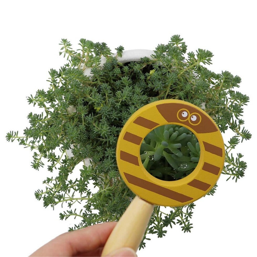 Baby Animal Magnifying Glass Set of 4