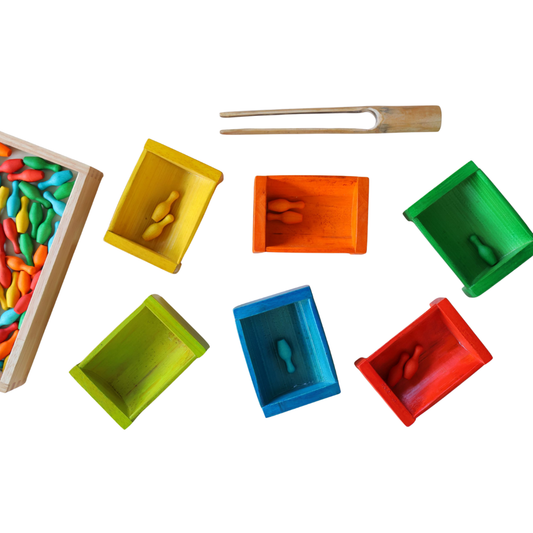 Coloured Bamboo Sorting Container Set