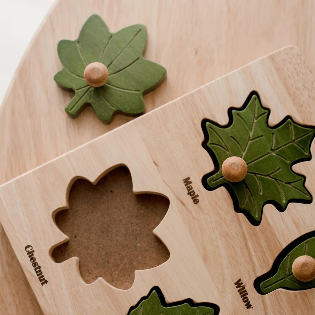 Montessori Leaf Puzzle