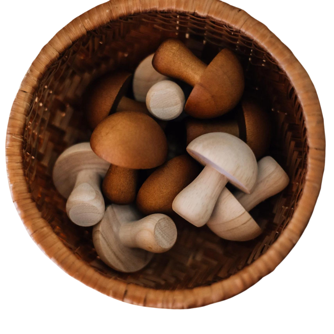 Mushroom set of 10