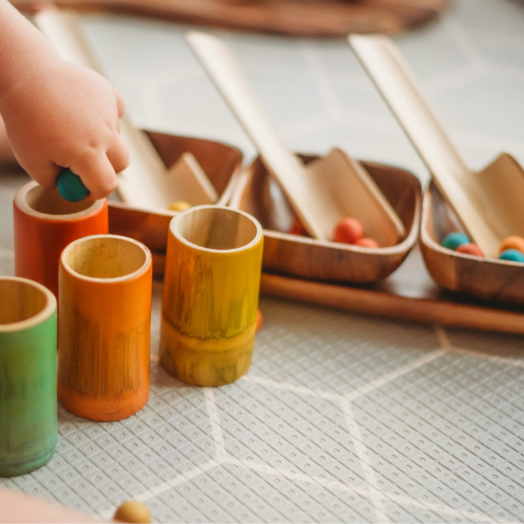 Montessori Bamboo Scoop & Sort Kit
