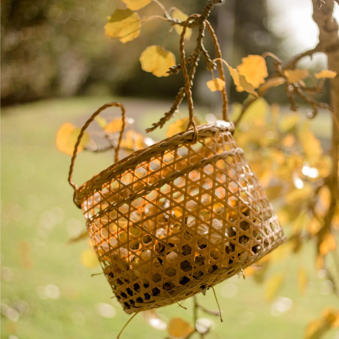 Beach Play Basket