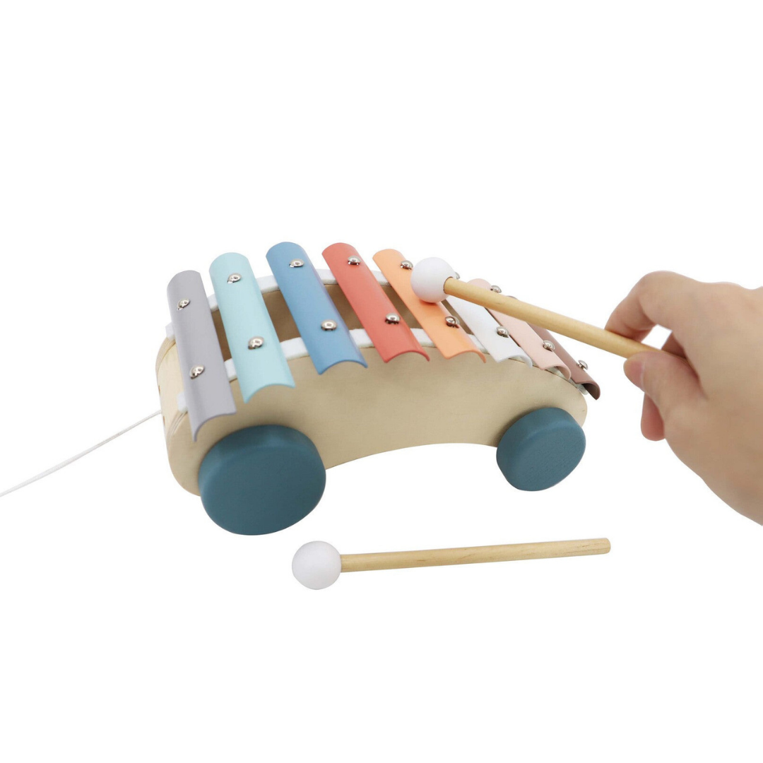 Pull Along Xylophone Car