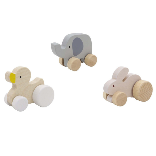 Wooden Animal Car Set of 3