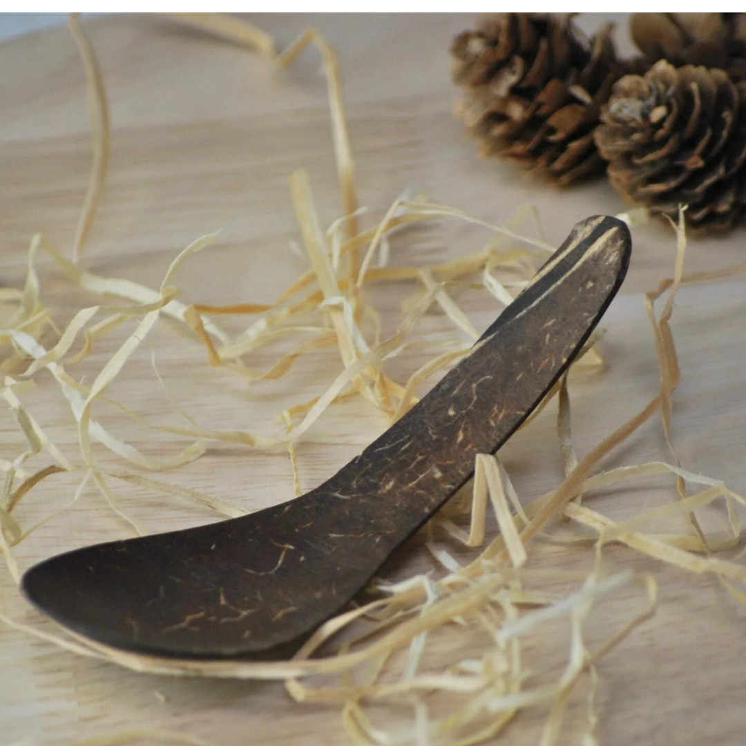 Coconut Shell Spoon