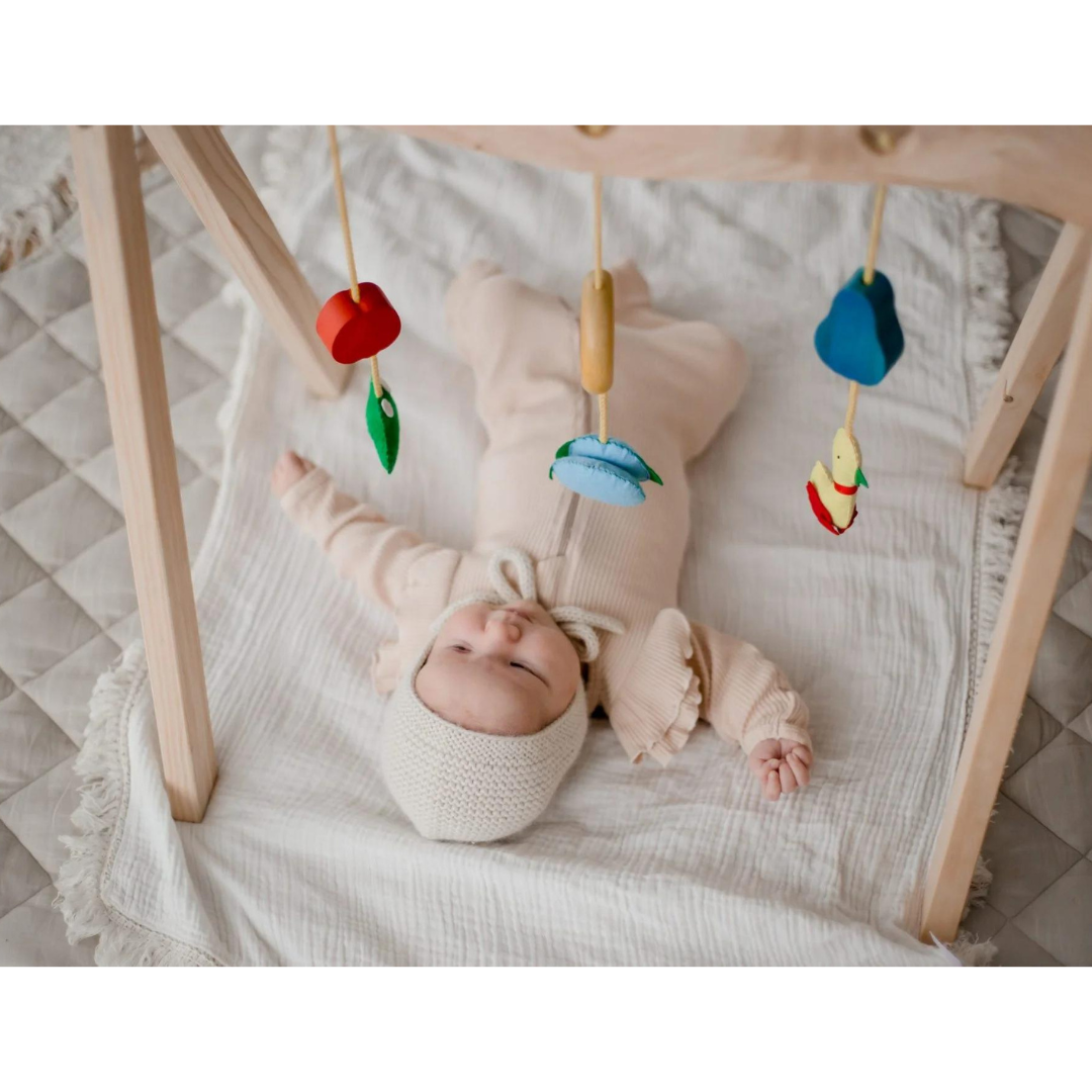 Wooden Baby Gym