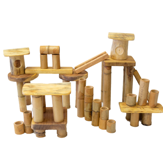 Bamboo Building Block Set of 50