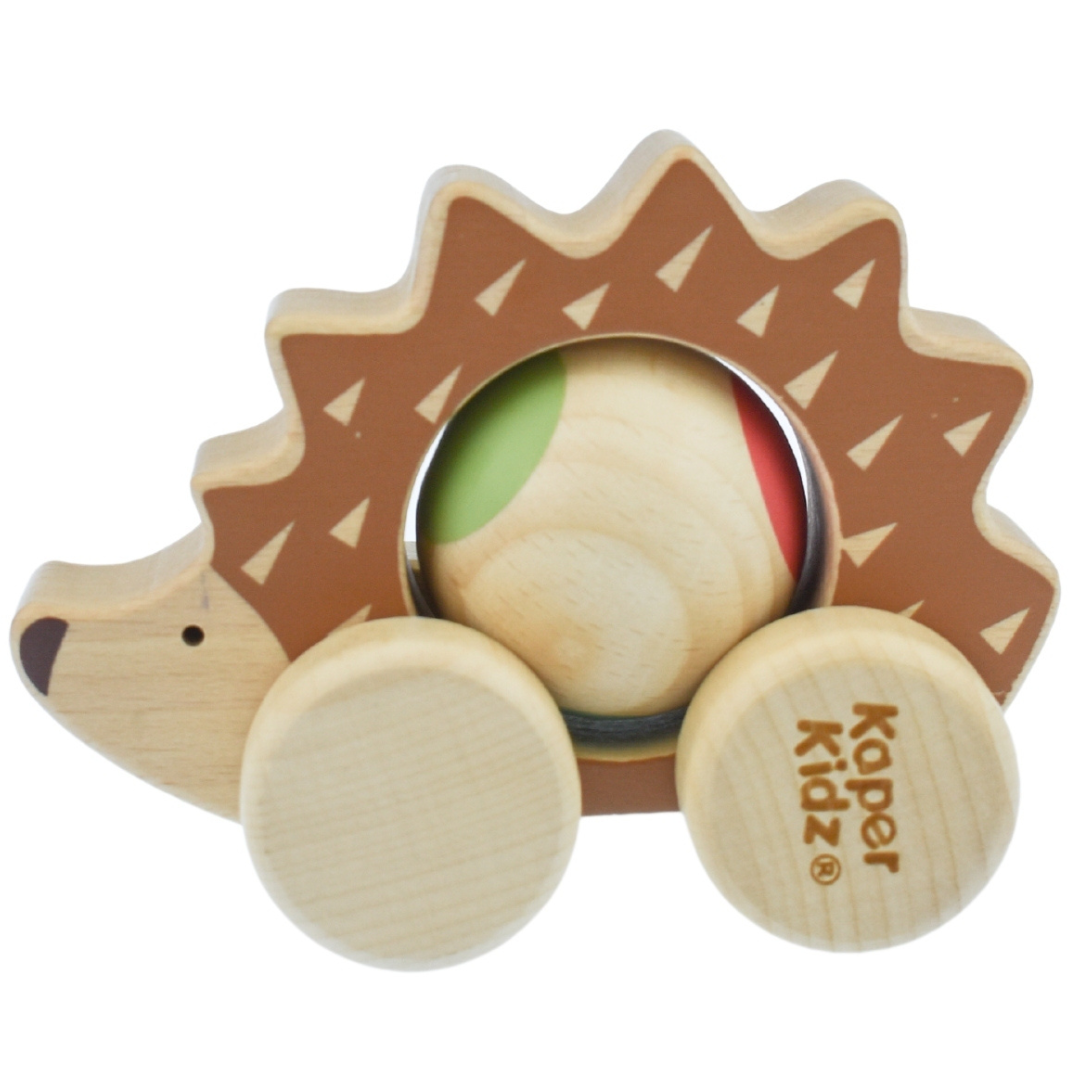 Eco Play Push A Long Spinning Hedgehog