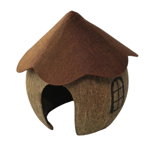 Coconut Gnome House