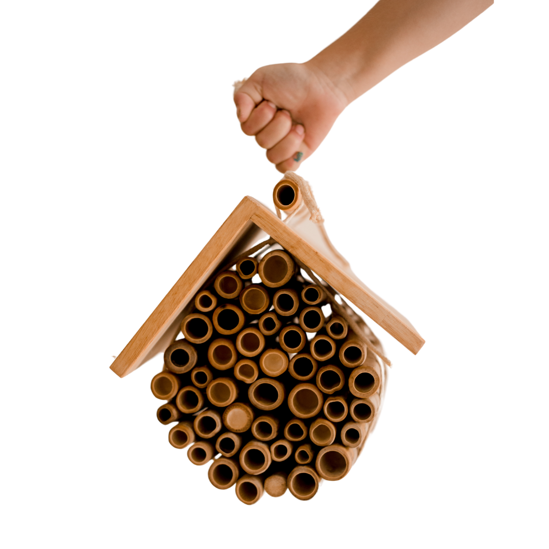 Hanging Bee House