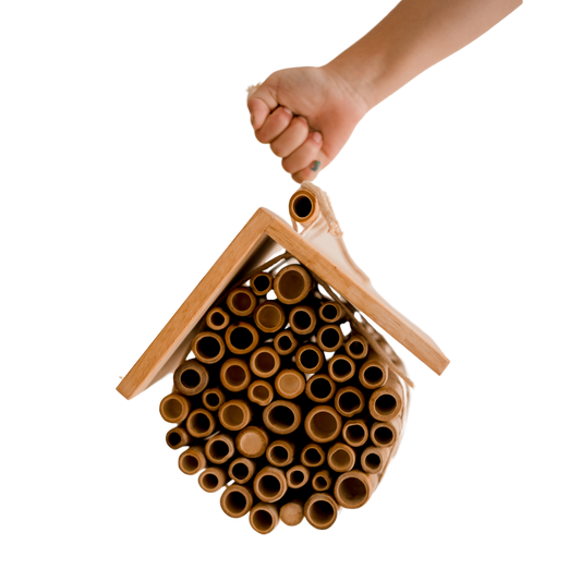 Hanging Bee House