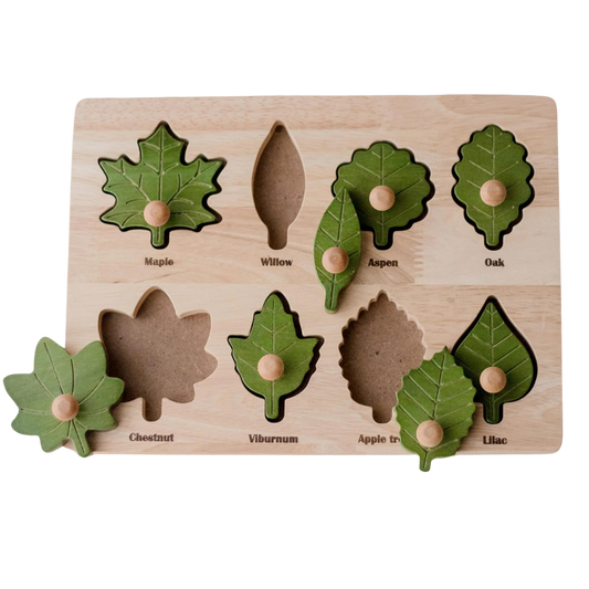 Montessori Leaf Puzzle