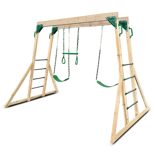 Monkey Bars & Swing Set