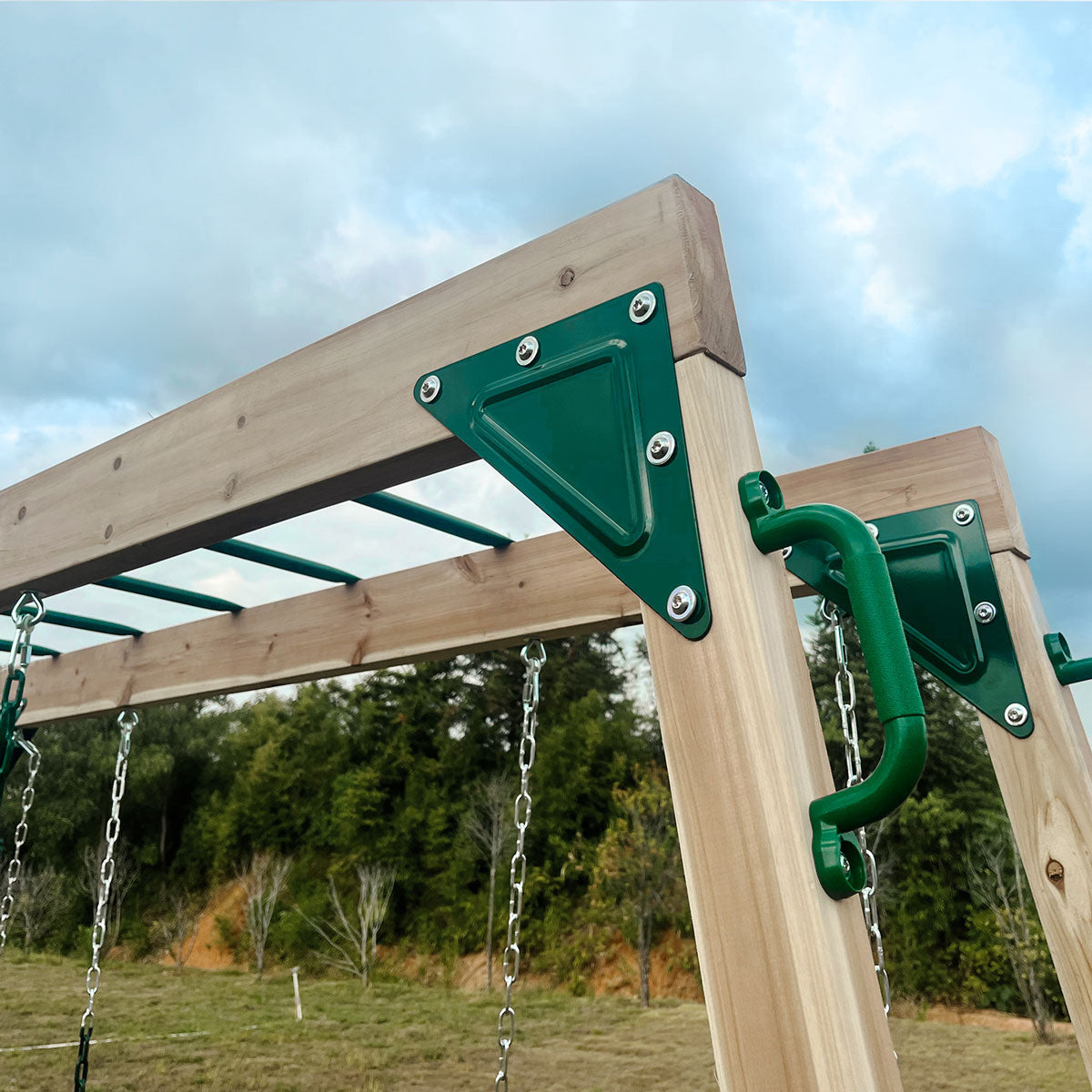 Daintree 2-in-1 Monkey Bars & Swing Set